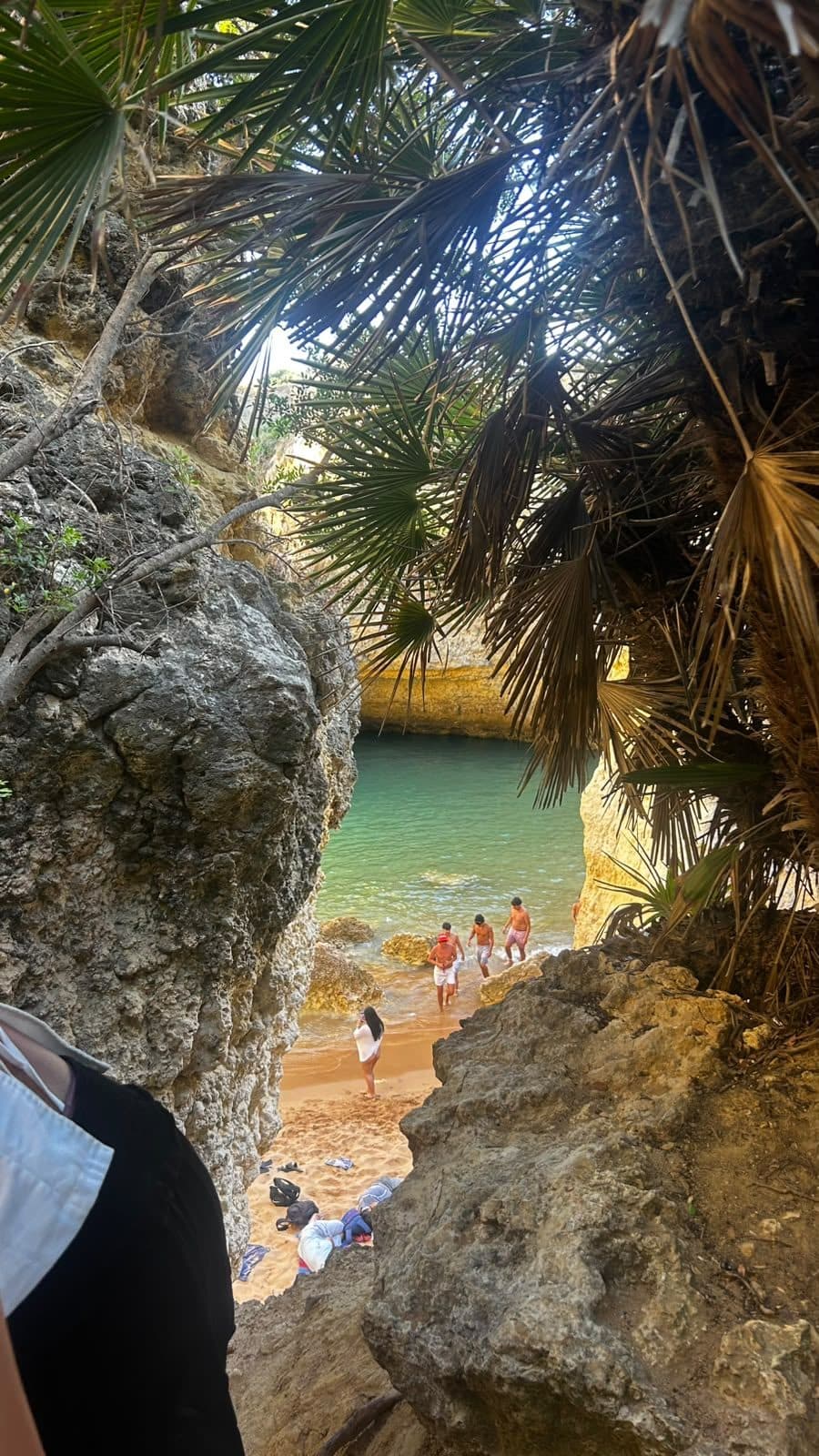 A hidden cove beach near Albufeira seen through palm fronds